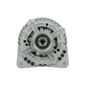 Alternator in the group Electrical system / Alternator / Alternator at Professional Parts Sweden AB (305518180011)