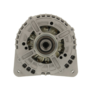 Alternator in the group Electrical system / Alternator / Alternator at Professional Parts Sweden AB (305597180010)