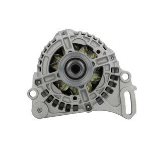 Alternator in the group Electrical system / Alternator / Alternator at Professional Parts Sweden AB (305921090010)