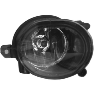 Fog light right in the group Headlights / Lightning / Fog lights / Fog lamp at  Professional Parts Sweden AB (34435002)