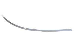 Prydnads- / Skyddslist Sttfngare in the group  at  Professional Parts Sweden AB (3508971)