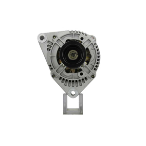 Alternator in the group Electrical system / Alternator / Alternator at Professional Parts Sweden AB (555502090010)