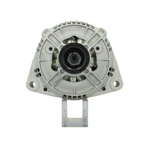 Alternator in the group Electrical system / Alternator at Professional Parts Sweden AB (555509115010)