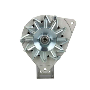 Alternator in the group Electrical system / Alternator / Alternator at  Professional Parts Sweden AB (595002055100)