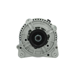 Alternator in the group Electrical system / Alternator / Alternator at  Professional Parts Sweden AB (595508120010)