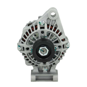 Alternator in the group Electrical system / Alternator / Alternator at Professional Parts Sweden AB (595588070130)