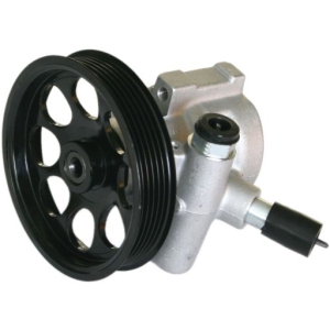 Power steering pump i gruppen Framvagn / bakvagn / Styrservopump & tank hos  Professional Parts Sweden AB (61340675)