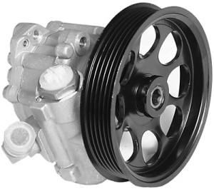 Power steering pump i gruppen Framvagn / bakvagn / Styrservopump & tank hos  Professional Parts Sweden AB (61348447)