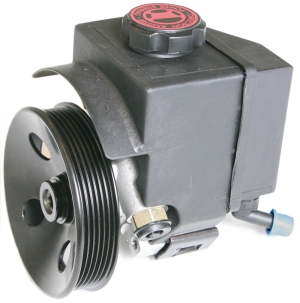 Power steering pump i gruppen Framvagn / bakvagn / Styrservopump & tank hos  Professional Parts Sweden AB (61430195)