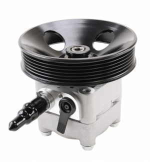 Power steering pump in the group Suspension parts / Power steering pump & tank at  Professional Parts Sweden AB (61430560)