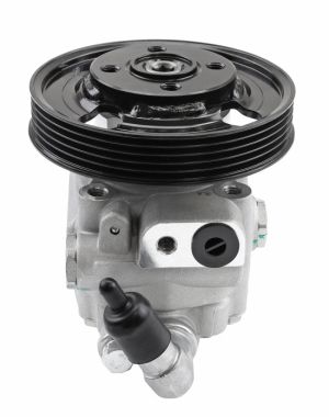 Power steering pump in the group Suspension parts / Power steering pump & tank at  Professional Parts Sweden AB (61432206)