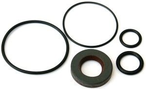 Seal kit for power steering pump in the group Suspension parts / Power steering pump & tank at  Professional Parts Sweden AB (61432651)