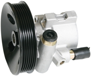 Power steering pump i gruppen Framvagn / bakvagn / Styrservopump & tank hos  Professional Parts Sweden AB (61433725)