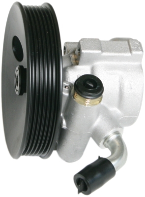 Power steering pump i gruppen Framvagn / bakvagn / Styrservopump & tank hos  Professional Parts Sweden AB (61435202)