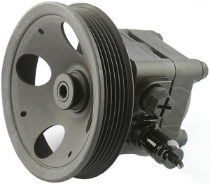 Power steering pump i gruppen Framvagn / bakvagn / Styrservopump & tank hos  Professional Parts Sweden AB (61435904)