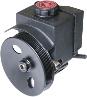 Power steering pump in the group Suspension parts / Power steering pump & tank at Professional Parts Sweden AB (61437904)