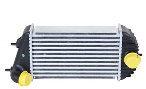 LADDLUFTKYLARE NATMATT: 300X173X64 in the group  at  Professional Parts Sweden AB (6816304123)