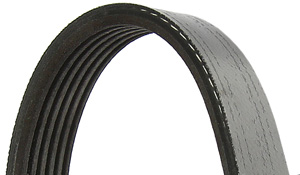 Drive belt i gruppen Motordelar / Drivrem & drivremskit / Drivrem hos  Professional Parts Sweden AB (6PK1060G)