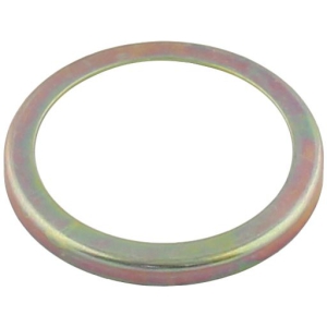 Wheel bearing washer in the group Driveline / Wheel bearing & hub at  Professional Parts Sweden AB (77439075)