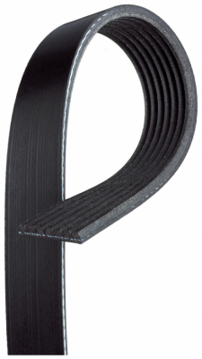 Drive belt in the group Engine parts / Drive belt / Drive belt at  Professional Parts Sweden AB (7PK1190G)