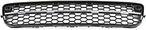 Grille in the group Body parts / Body Parts / Radiator Grille / Radiator Grille at  Professional Parts Sweden AB (82430177)