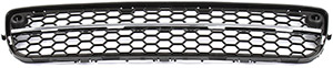 Grille i gruppen Kaross / Kaross / Kylargrill / Kylargrill hos  Professional Parts Sweden AB (82430177)