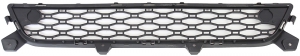 Grille in the group Body parts / Body Parts / Radiator Grille / Radiator Grille at  Professional Parts Sweden AB (82433422)