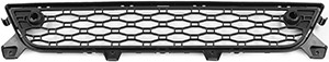 Grille in the group Body parts / Body Parts / Radiator Grille / Radiator Grille at  Professional Parts Sweden AB (82434054)