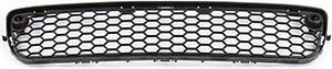 Grille in the group Body parts / Body Parts / Radiator Grille / Radiator Grille at  Professional Parts Sweden AB (82434113)