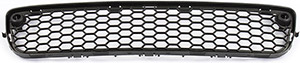 Grille i gruppen Kaross / Kaross / Kylargrill / Kylargrill hos  Professional Parts Sweden AB (82434113)