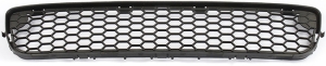 Grille in the group Body parts / Body Parts / Radiator Grille / Radiator Grille at  Professional Parts Sweden AB (82438421)