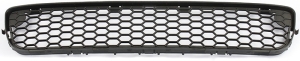 Grille in the group Body parts / Body Parts / Radiator Grille / Radiator Grille at Professional Parts Sweden AB (82438421)