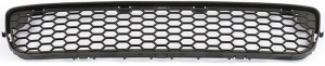 Grille i gruppen Kaross / Kaross / Kylargrill / Kylargrill hos  Professional Parts Sweden AB (82438421)