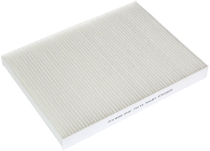 Fresh air filter in the group Filter / Fresh air filter at  Professional Parts Sweden AB (87020020)