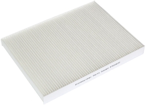 Fresh air filter in the group Filter / Fresh air filter at Professional Parts Sweden AB (87020020)