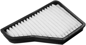 Fresh air filter carbon i gruppen Filter / Friskluftsfilter hos  Professional Parts Sweden AB (87250060)