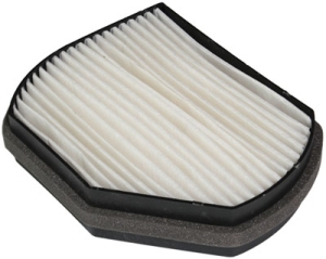 Fresh air filter in the group Filter / Fresh air filter at Professional Parts Sweden AB (87250070)