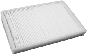 Fresh air filter in the group Filter / Fresh air filter at Professional Parts Sweden AB (87290010)