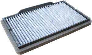 Fresh air filter carbon in the group Filter / Fresh air filter at  Professional Parts Sweden AB (87340030)