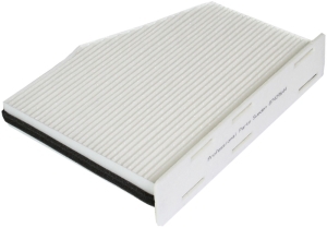 Fresh air filter in the group Filter / Fresh air filter at  Professional Parts Sweden AB (87429644)