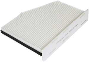 Fresh air filter in the group Filter / Fresh air filter at Professional Parts Sweden AB (87429644)