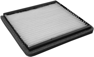 Fresh air filter in the group Filter / Fresh air filter at Professional Parts Sweden AB (87430030)