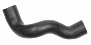Charger int hose with clamps in the group Engine parts / Intercooler at  Professional Parts Sweden AB (87431367)