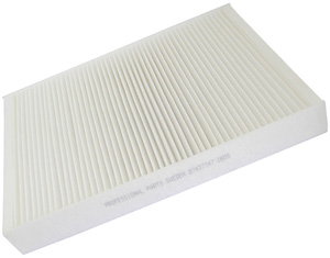 Fresh air filter in the group Filter / Fresh air filter at  Professional Parts Sweden AB (87437747)