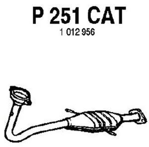 Catalytic converter in the group  at  Professional Parts Sweden AB (P251CAT)