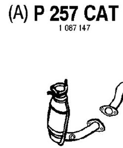 Catalytic converter i gruppen Tillflligt dolda artiklar hos  Professional Parts Sweden AB (P257CAT)