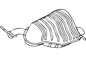Rear muffler in the group  at  Professional Parts Sweden AB (P46003)