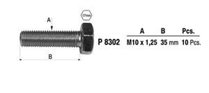 Bolts in the group  at  Professional Parts Sweden AB (P8302)