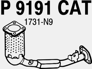 Catalytic converter in the group  at  Professional Parts Sweden AB (P9191CAT)