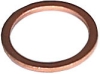 Washer i gruppen Filter / Brnslefilter hos  Professional Parts Sweden AB (23437621)